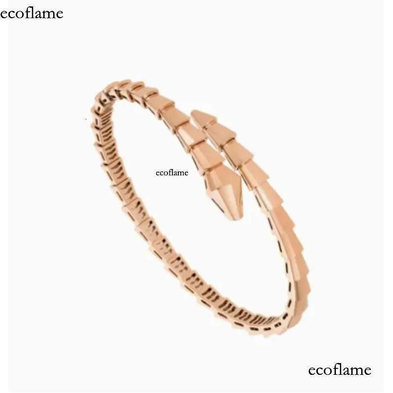 Designer Jewelry Narrow Single Circle Snake Designers Bracelet Gold Bracelets Bangle Party Birthday Gift High Quality H446