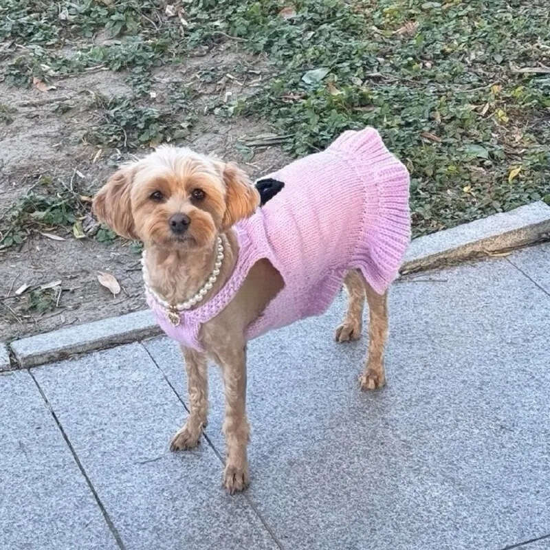 2025 new Designer Dog Puppy Dress, Warm Pet Small Clothes Winter Rabbit Sweater Pets Sweatshirt Dogs Coat Cat Coats Kitten Dresses Candy XS