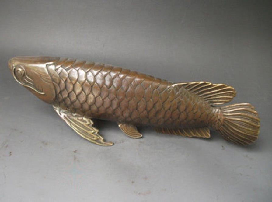 Collection Lifelike Chinese old bronze arowana statue 28x8 CM6229824