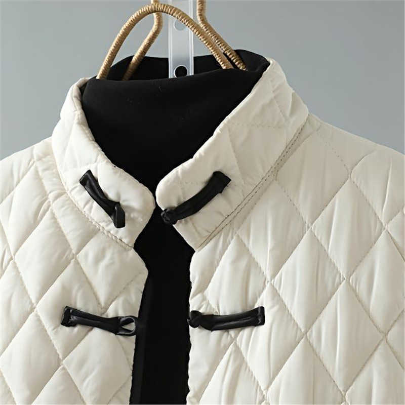 New Artistic Autumn Winter New Fashion Button Ethnic Sle Warm Down Cotton Vest Versatile Vest W250926