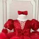 Sparkle Vneck lace mesh bow Girl dress Elegant girl birthday party ball Evening dress for kids girl Baby Custom Madeirst Commu Z250926