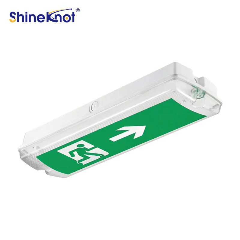 Ip68 Rechargeable 8W Led Bulkhead 180 Minutes Battery Backup Led Recessed Surface Emergency Safety Flare Lights C250925