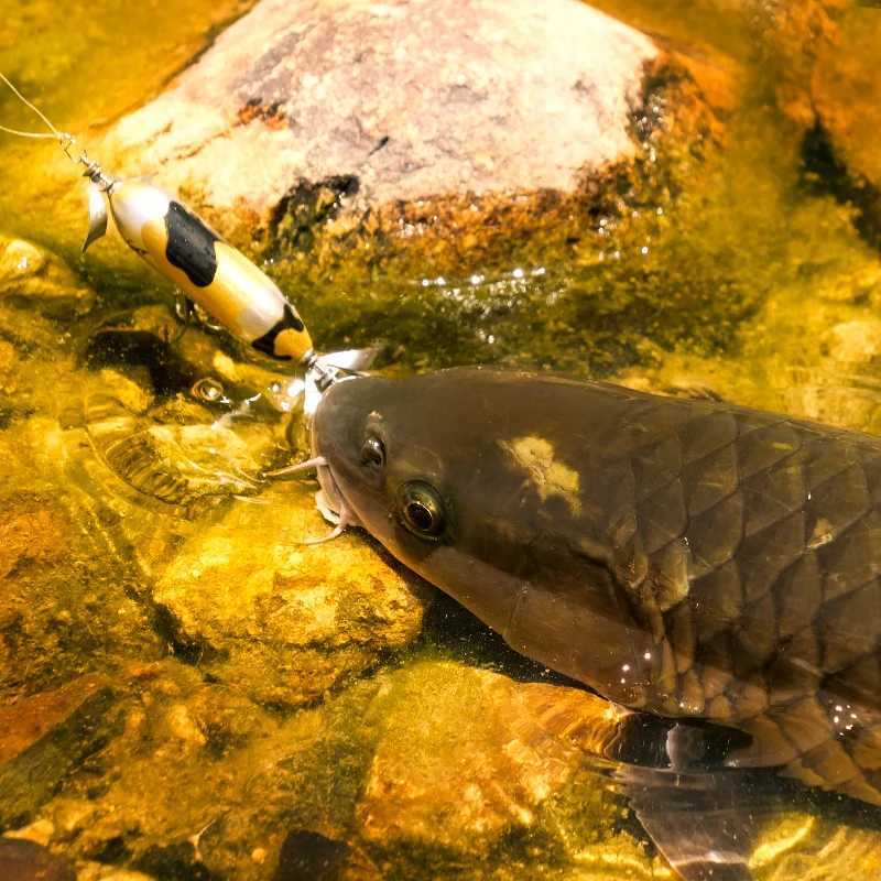 MAGIC WORKS 75g 105g Topwater Fishing Lure Whopper Popper Tail Spinner Pencil Lure Bass Artificial Bait for Fishing Pesca W250926