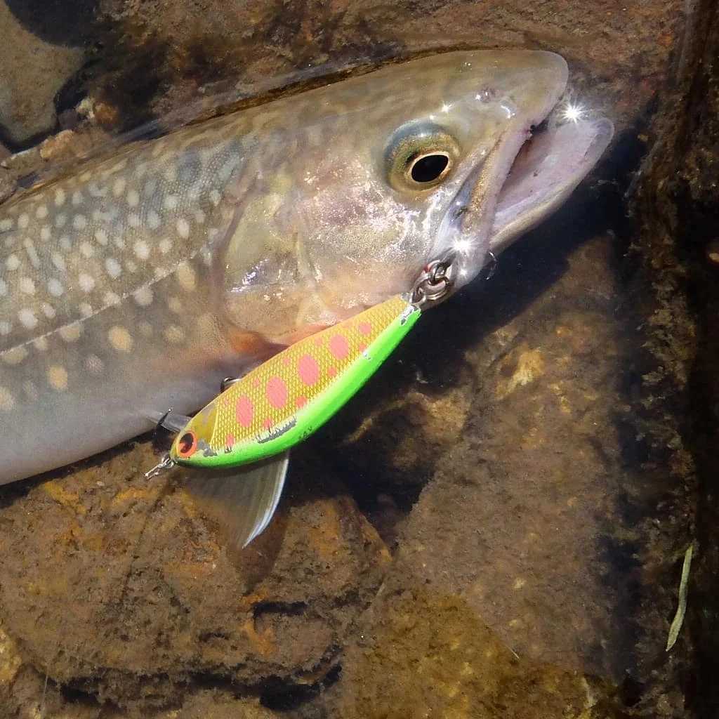 TSUYOKI Japanese Fishing Lure Mini Minnow Lure For Bass Trout Jerkbaits Wobbr Micro Sinking Bait Ima issen 45s W250926