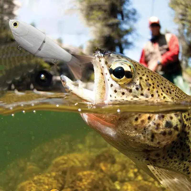 Glide Baits For Pike Salmon Trout Topwater SingJointed Swimbait Bass Fishing Lure W250926