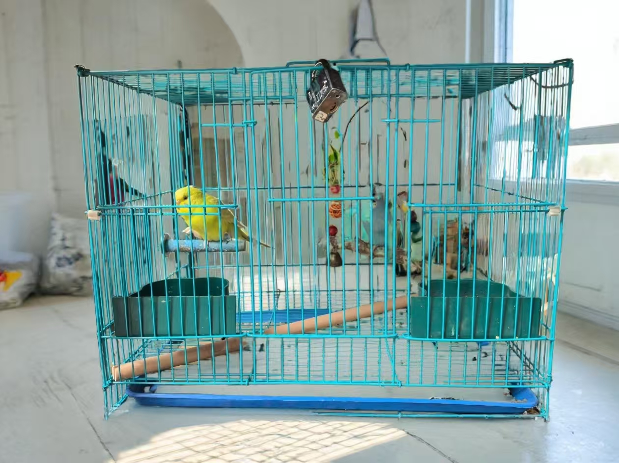 Birds cage Large household parrot cage Myna cage Acacia Breeding