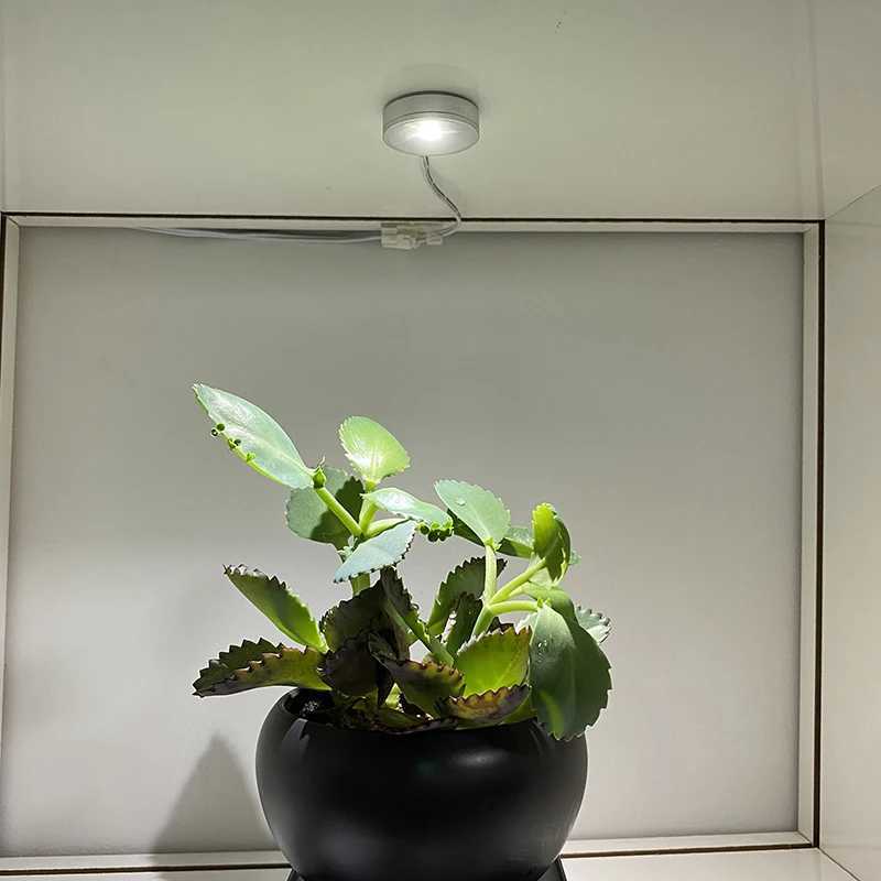 Ultra Slim 8mm USB Spotlight Downlight Round 5V 05W 12V 1W Jewellery Cabinet Wine Cabinet Display Cabinet Mini LED Warm White C250925