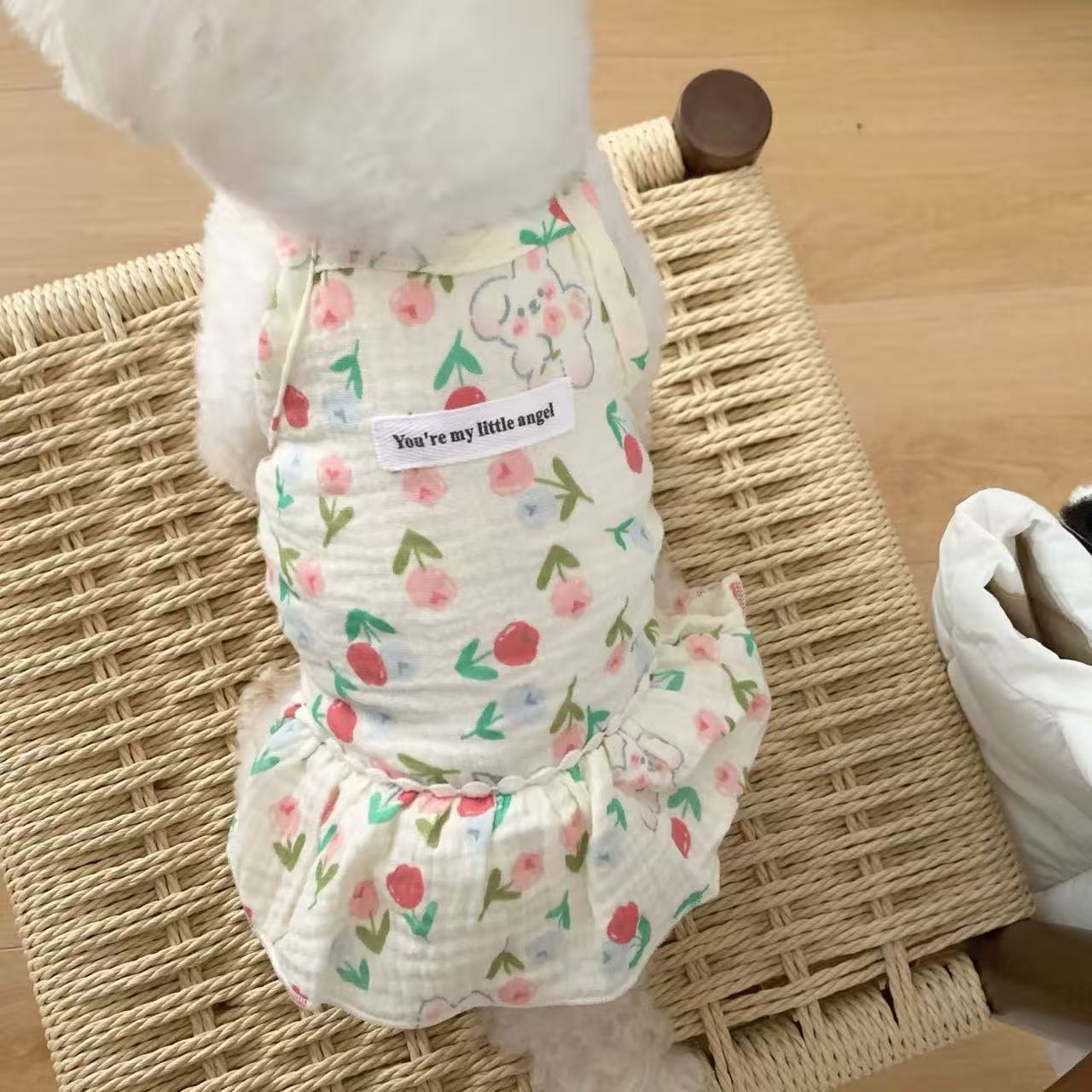 T1446 Dog clothes 2025 new summer thin cute small puppy Bichon Frise puppy cat