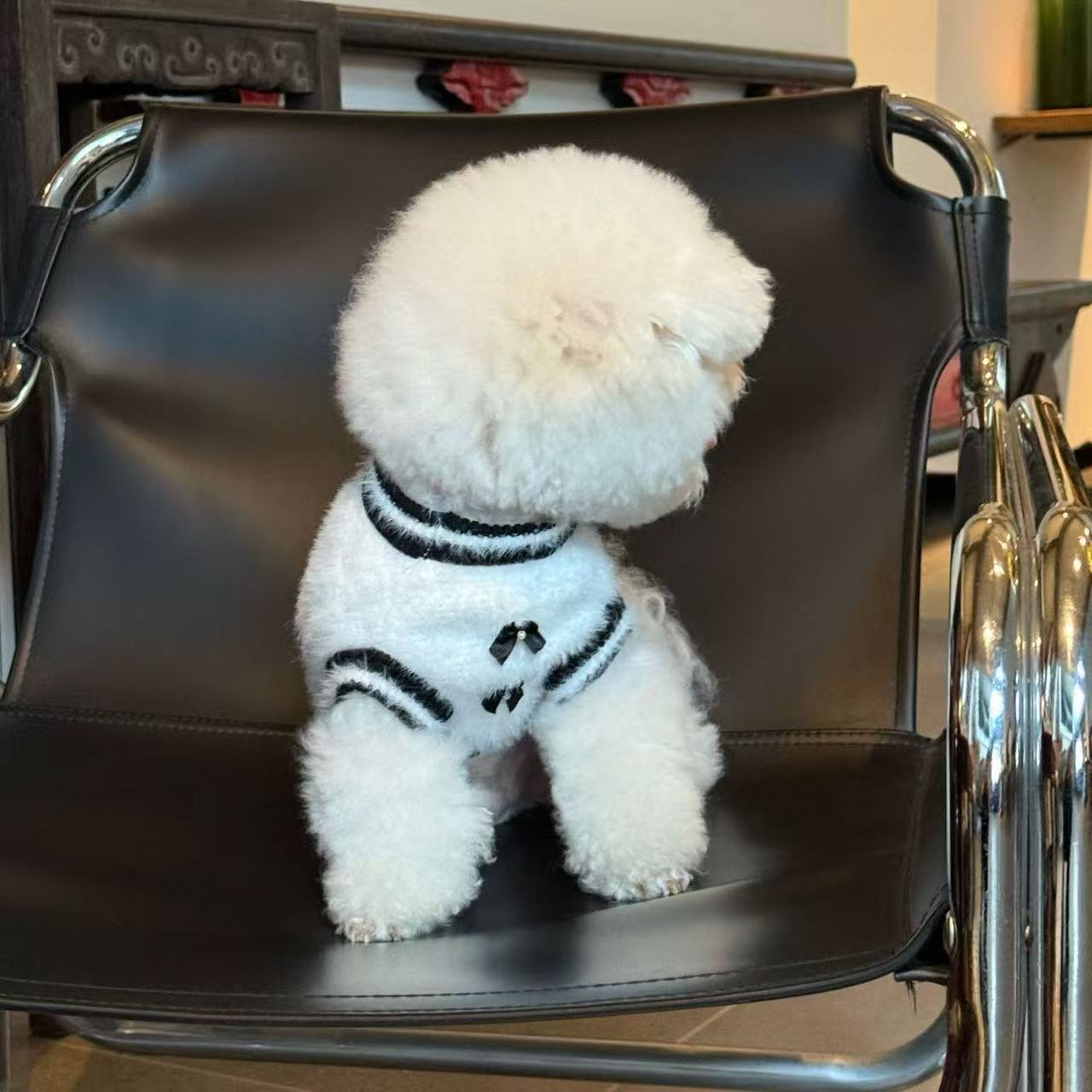 T1344 Autumn and winter dog clothes Teddy Bichon Schnauzer French Bulldog Corgi small dog cat sweater vest dog clothes