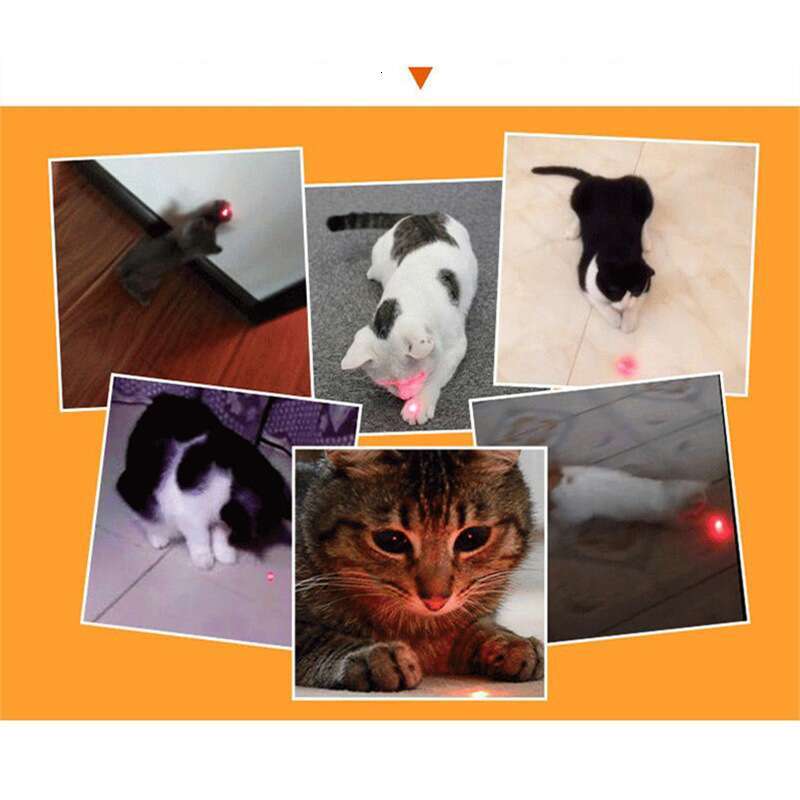 Pet Laser Exerciser 2 in 1 Dog & Cat Toy