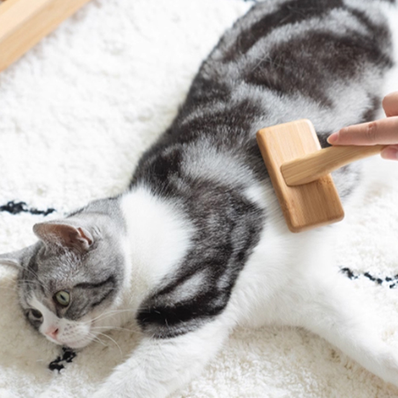 There is always a cat grooming brush suitable for you a cat hair cleaner a floating hair needle comb and a Petty bamboo and wood cat comb