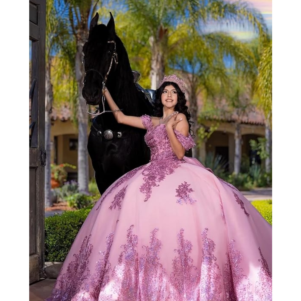 Sage Quinceanera Dresses Off Shoulder Pink Dark Navy Ball Gowns Tulle Balls Gown Sweet 16 Puffy Prom Dress Vestido de Fiesta