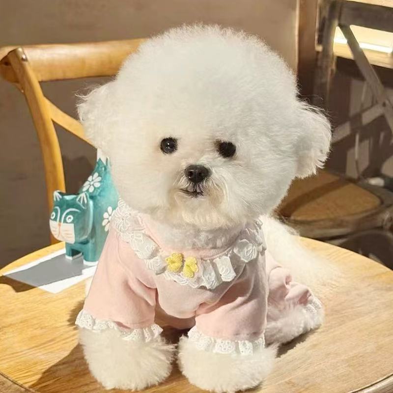 T1340 Dog Clothes Bichon Pomeranian Cat Yorkshire Terrier Small Dog Teddy Belly Clothes