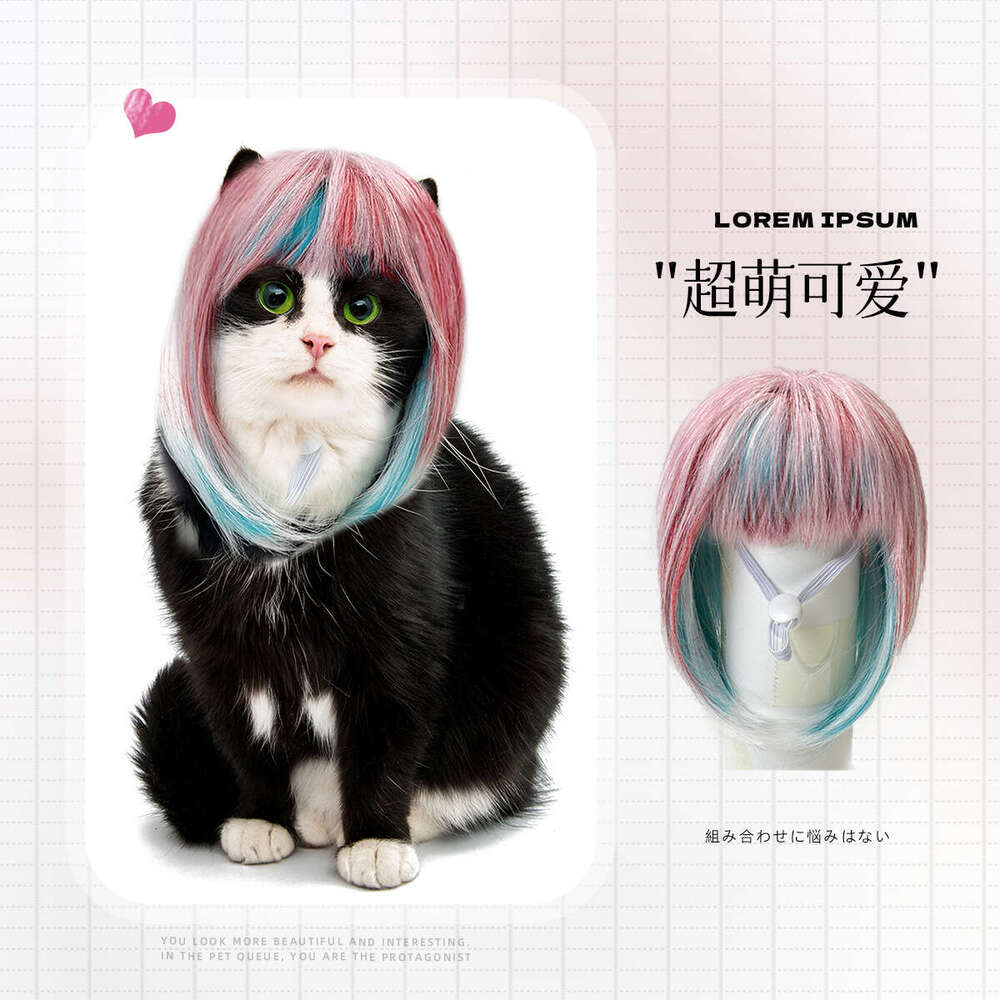 New Wig Pets Universal for Cats and Dogs Colorful Long Hair Party Costume Dreamy Style