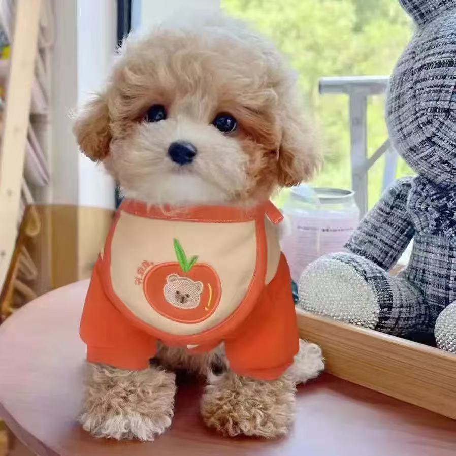 T1337 Pet Dog Cat Fashionable Cute Clothes Autumn and Winter Teddy Bichon Maltese Four-legged Winter Cotton-padded Coat