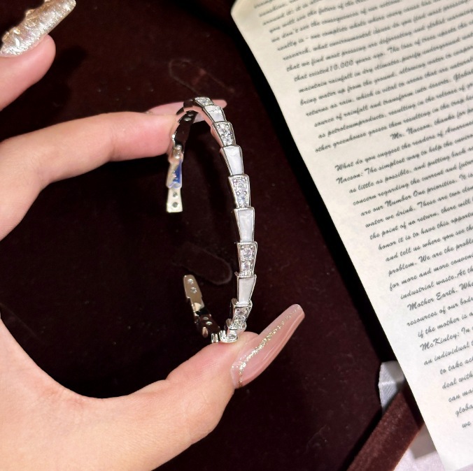 Hot Selling Light Micro Inlaid Snake Bone Niche Design Copper Plated Champagne Gold High-end Starry Sky Bracelet