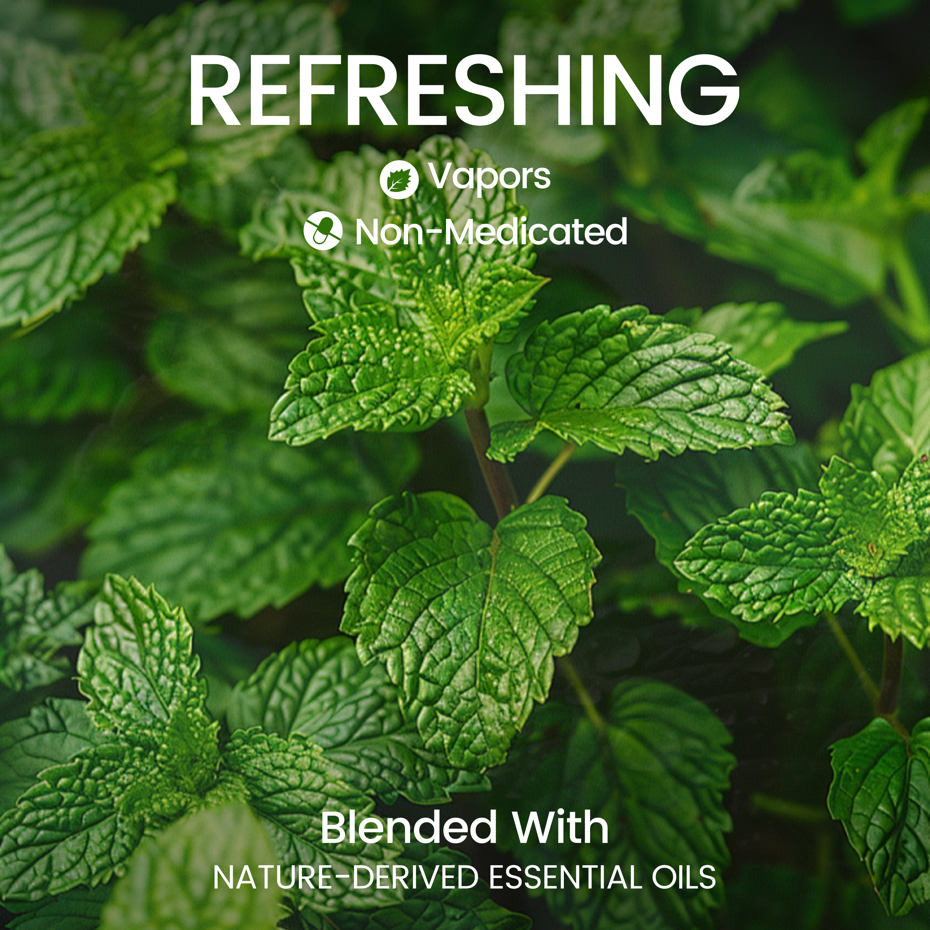 CEELIKE Nasal Stick - Mint Flavor, 3 Sticks per Pack, Natural Plant Ingredients for Refreshing Relief and Energy Boost