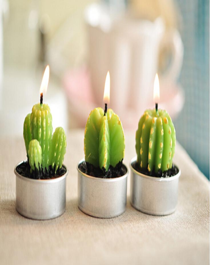 Whole Rare Mini Cactus Candles Plant Decor Home Table Garden 6pcslot kawaii Decoration Factory expert design Quali5392047