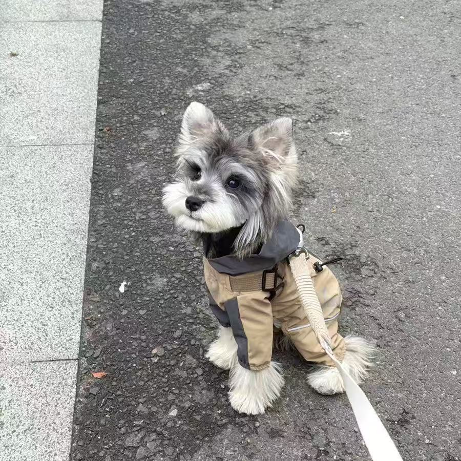 T1341 Pet Clothes Autumn New Style Teddy Bichon Pomeranian Small Dog Cat Schnauzer Poodle Dog Autumn and Winter Clothes