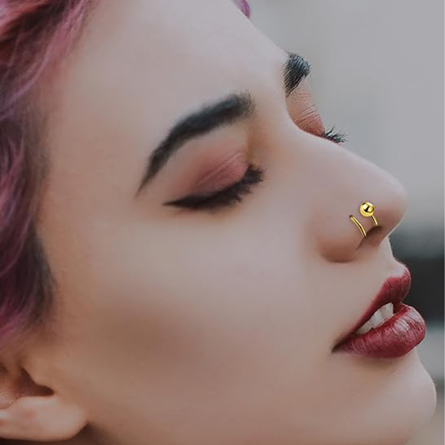 16PCS Nose Ring Hoop Stainless Steel Dangle Spiral Nose Rings Snake Flower Butterfly Wings Heart Ball Twist Earring Hoops Body Piercing Jewelry