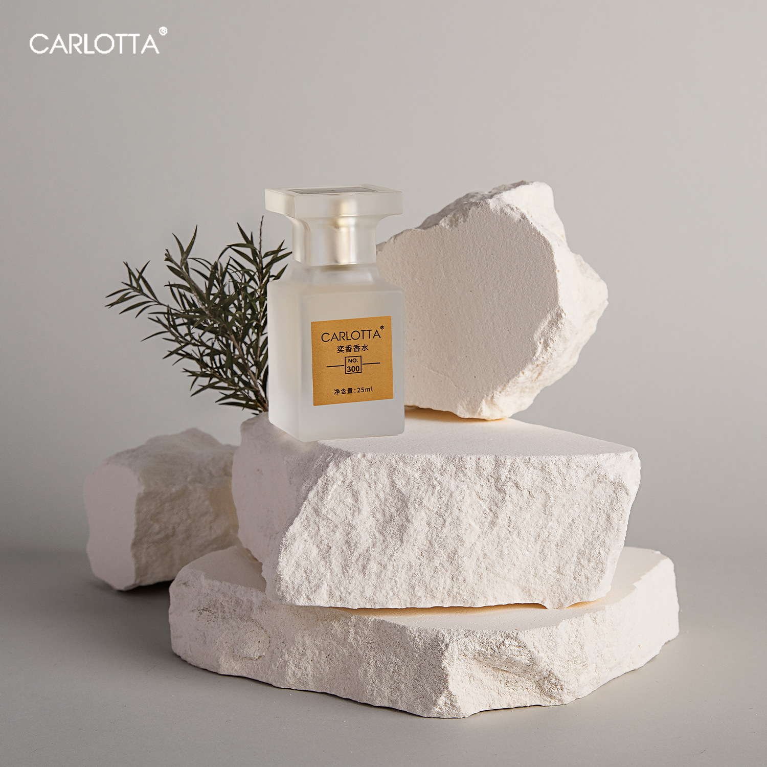 Water of the Day Designer Perfume New Portable Perfume Lasting Fragrance Water Sex Ladies