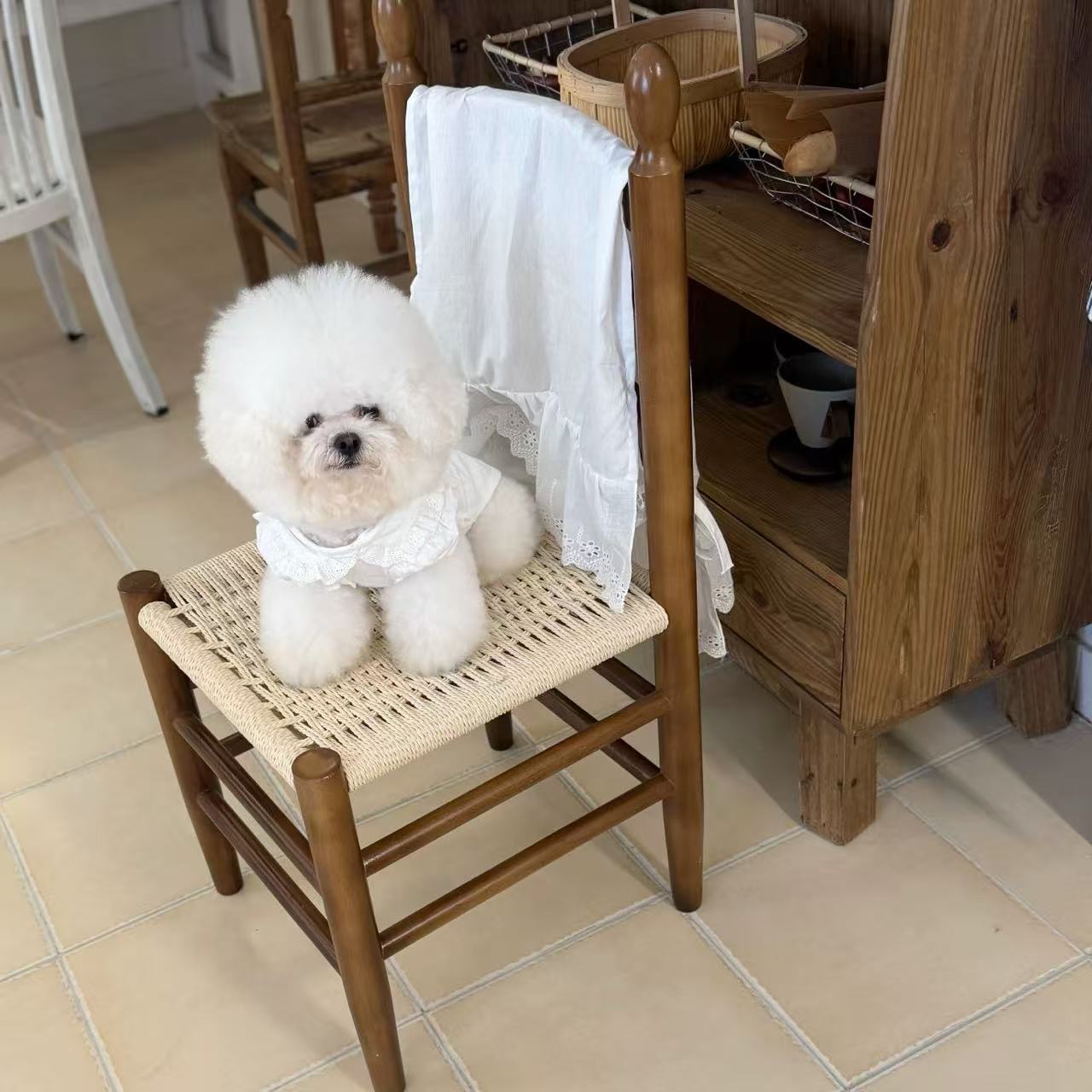 T1445 New summer thin cute small puppy Bichon puppy cat small Chanel style princess dress