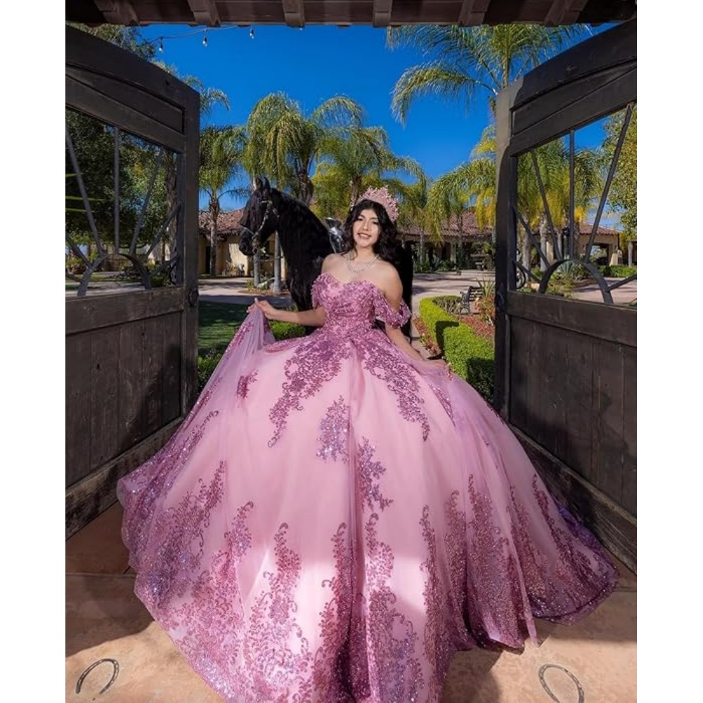 Sage Quinceanera Dresses Off Shoulder Pink Dark Navy Ball Gowns Tulle Balls Gown Sweet 16 Puffy Prom Dress Vestido de Fiesta