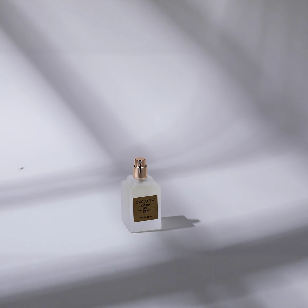 Water of the Day Designer Perfume New Portable Perfume Lasting Fragrance Water Sex Ladies