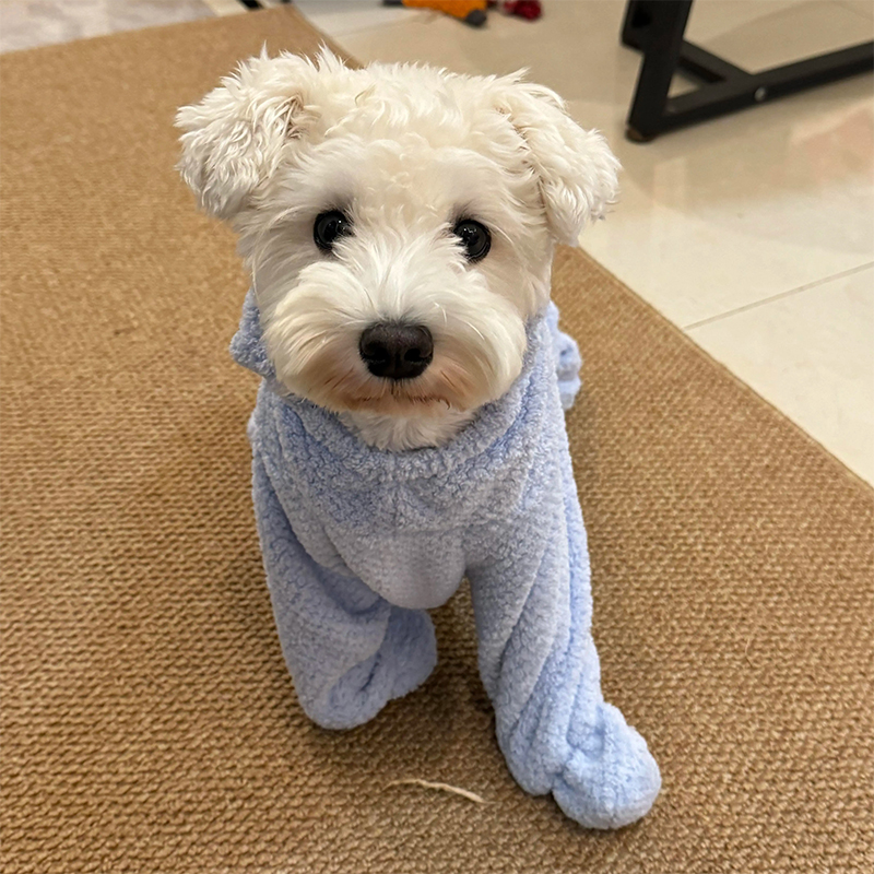 Pet bath towel absorbent quick drying small dog dog cat jumpsuit with zipper thickened coral fleece strong absorbent
