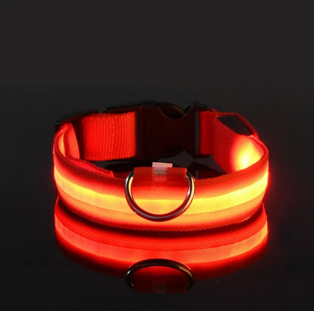 Nylon LED Night Safety Flashing Glow In The Dark Dog Leash Dogs Luminous Fluorescent Pet Dog Collar