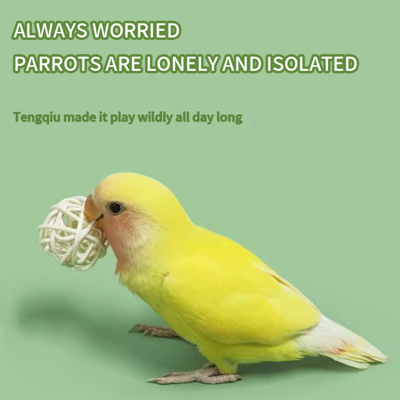 Parrot Vine Ball Bite Play Toy Training Hamster Grind Teeth Foraging Interactive Black Wind Tiger Skin Pet Exercise Supplies