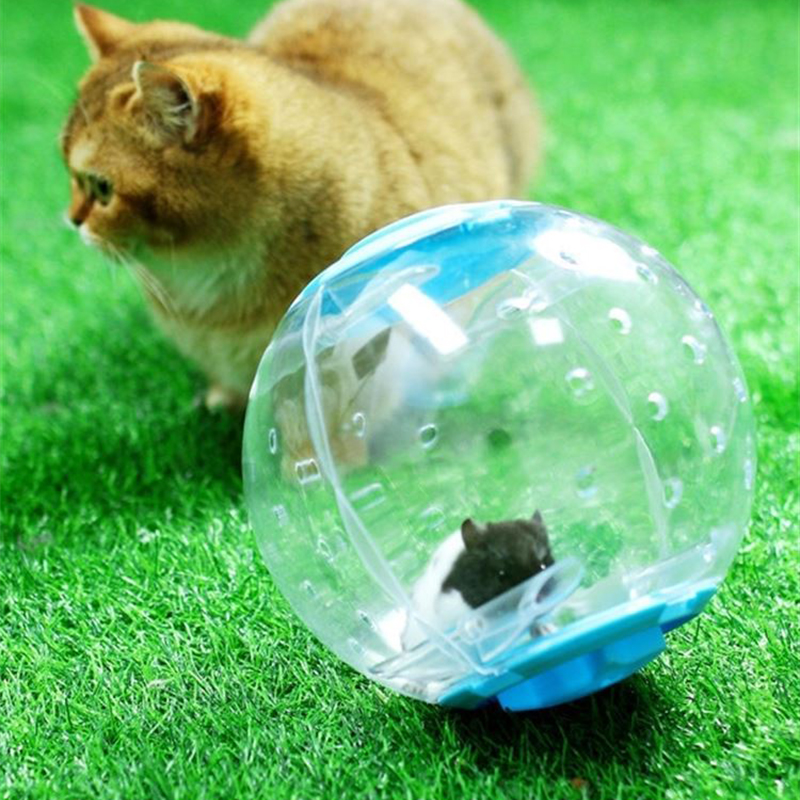 Parrot Toy Creative Little Bird Anti Depression Running Ball Chicken Self Fun Relaxation Exercise Rolling Ball Comes with Hamster Treadmill