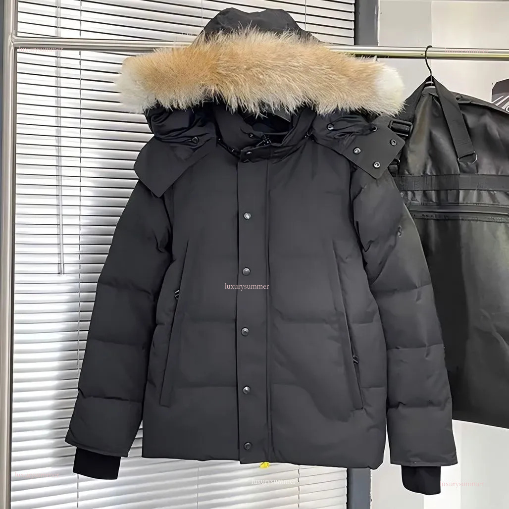 Puffer Mens Winter … - image