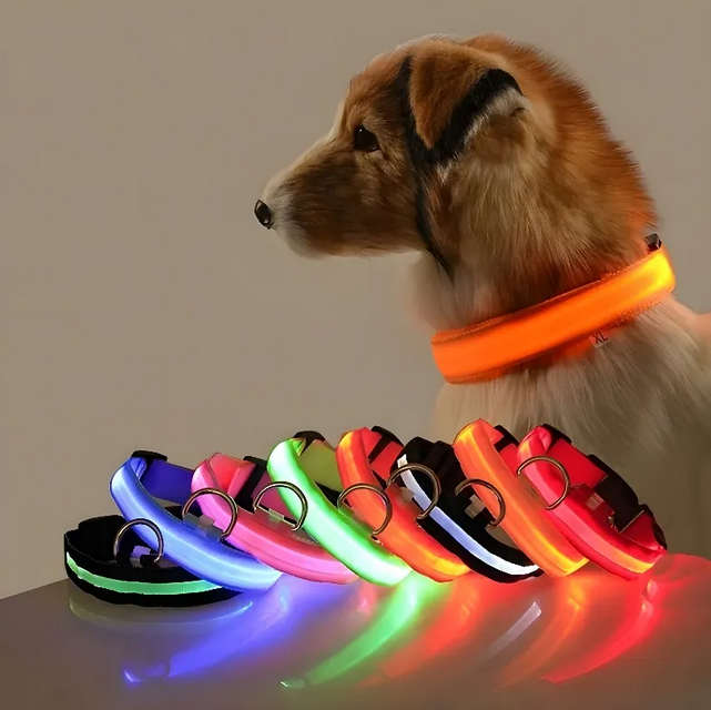 Nylon LED Night Safety Flashing Glow In The Dark Dog Leash Dogs Luminous Fluorescent Pet Dog Collar