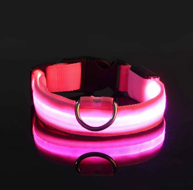 Nylon LED Night Safety Flashing Glow In The Dark Dog Leash Dogs Luminous Fluorescent Pet Dog Collar