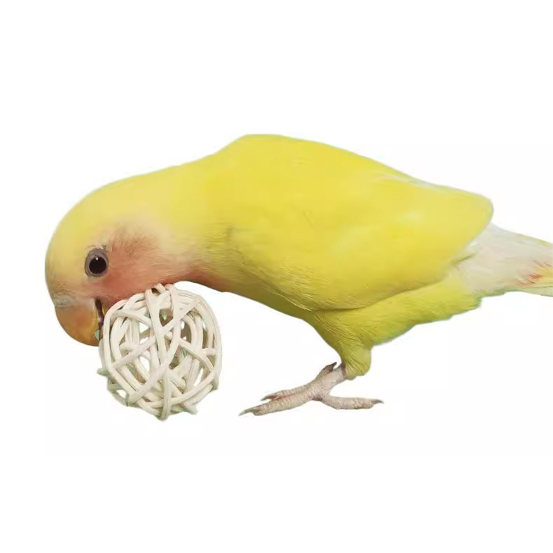 Parrot Vine Ball Bite Play Toy Training Hamster Grind Teeth Foraging Interactive Black Wind Tiger Skin Pet Exercise Supplies
