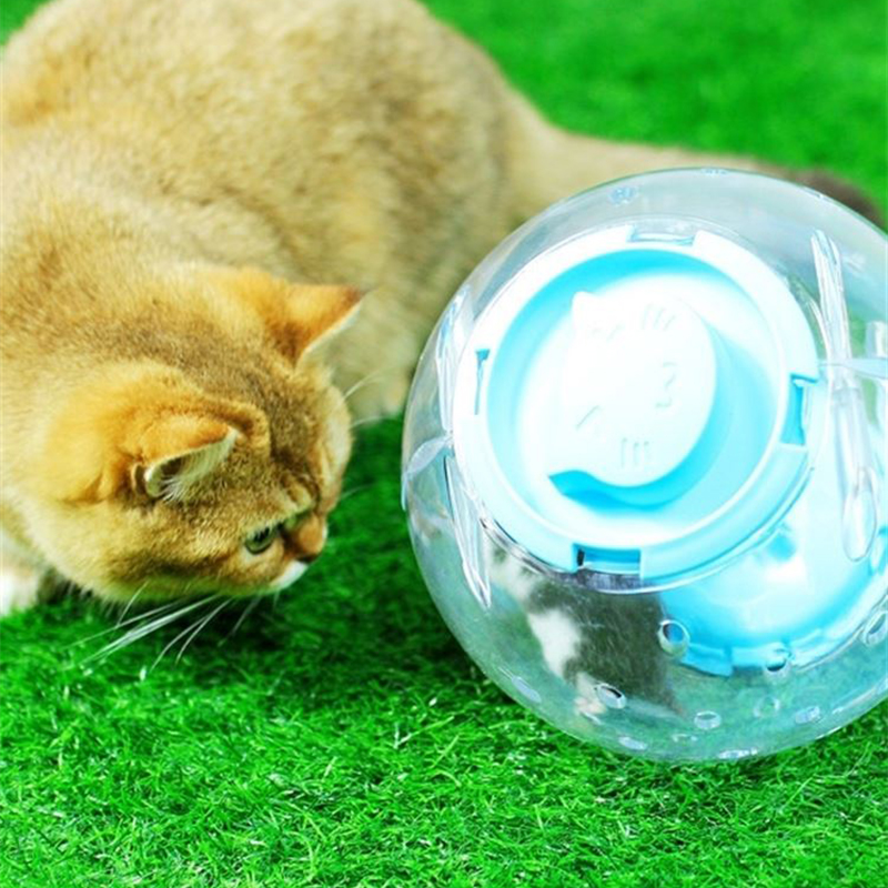 Parrot Toy Creative Little Bird Anti Depression Running Ball Chicken Self Fun Relaxation Exercise Rolling Ball Comes with Hamster Treadmill