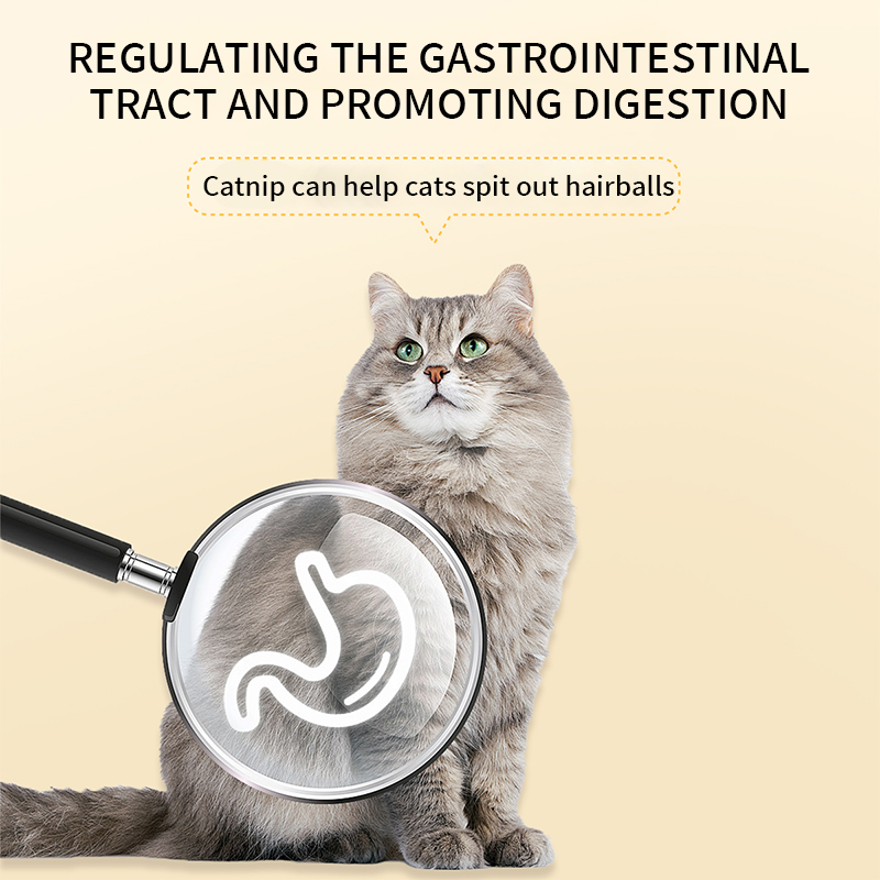 MuLing Cat Toy Wooden Sky Liao Teasing Cat Stick Cat Self Hi Soothing Tool Durable Bite Cat Mint Ball Kitten Teeth Grinding Stick