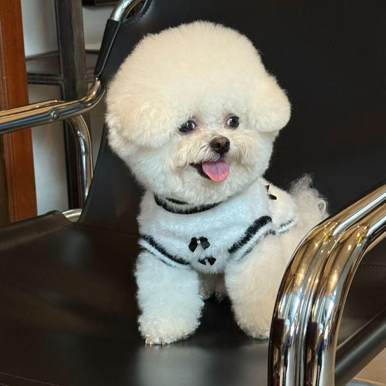 T1344 Autumn and winter dog clothes Teddy Bichon Schnauzer French Bulldog Corgi small dog cat sweater vest dog clothes