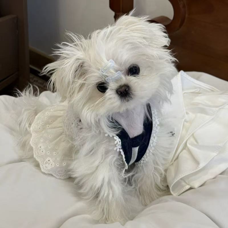 T1342 Dog Spring and Summer Pet Dress Vest Skirt Small Dog Puppy Bichon Teddy Yorkshire Terrier