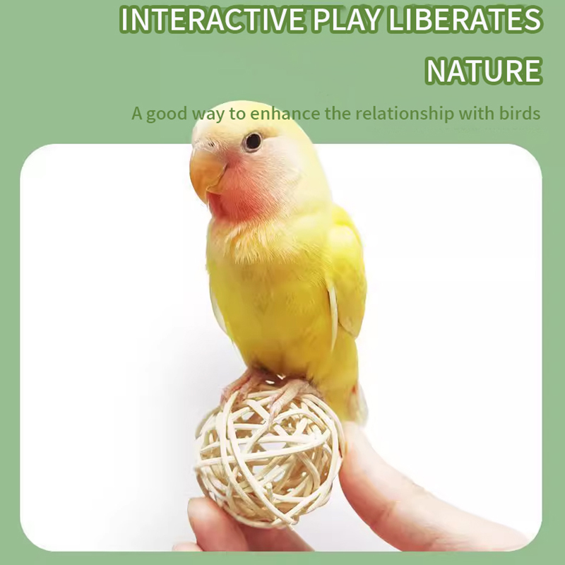 Parrot Vine Ball Bite Play Toy Training Hamster Grind Teeth Foraging Interactive Black Wind Tiger Skin Pet Exercise Supplies