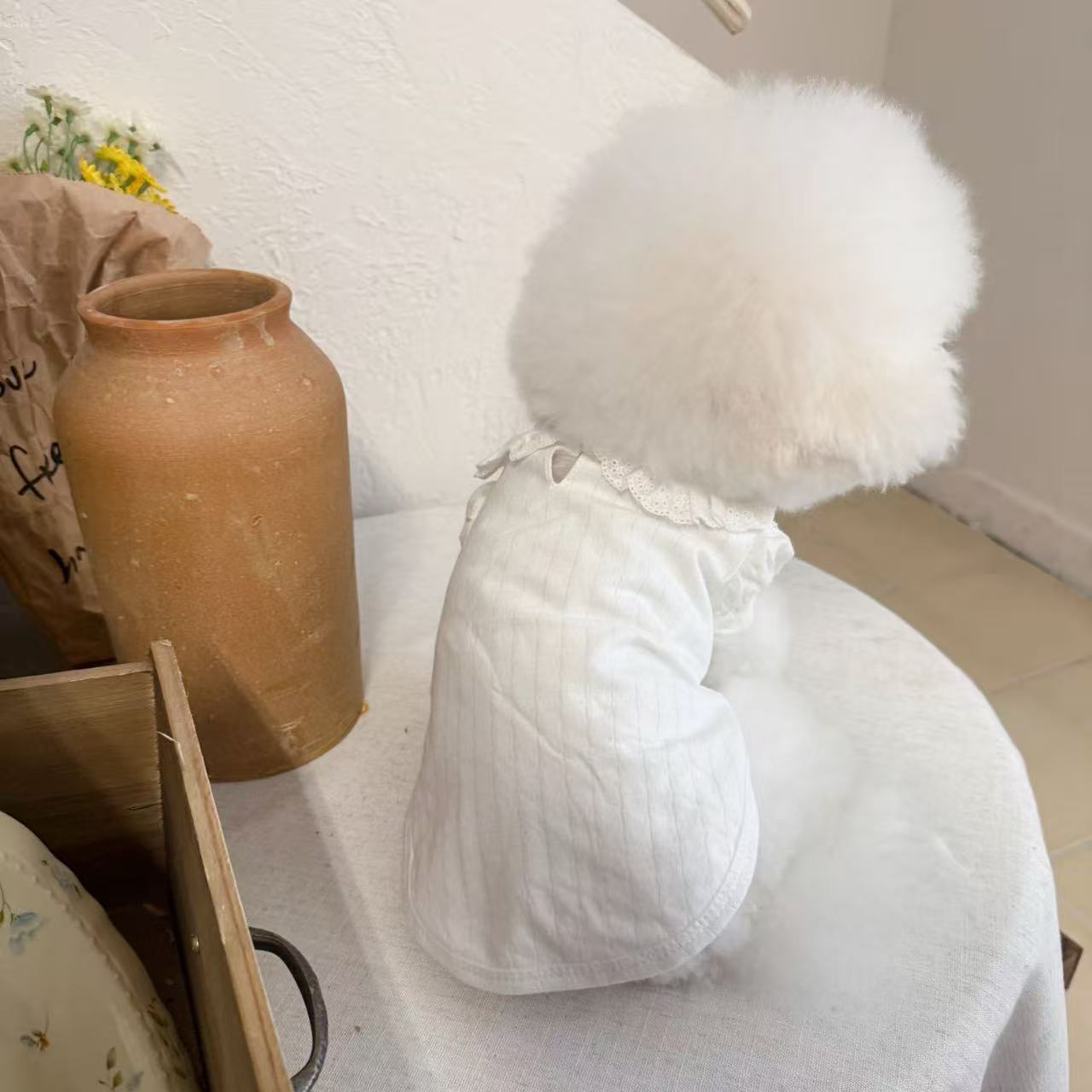 T1445 New summer thin cute small puppy Bichon puppy cat small Chanel style princess dress