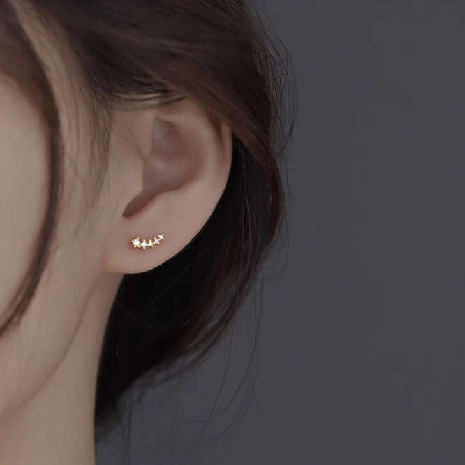 Fashion Simple Meteor Row Dia Shiny Ins Niche Design Versatile Fresh High-end Light Earrings