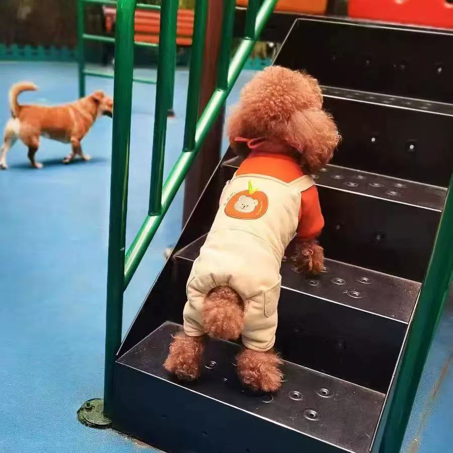 T1337 Pet Dog Cat Fashionable Cute Clothes Autumn and Winter Teddy Bichon Maltese Four-legged Winter Cotton-padded Coat