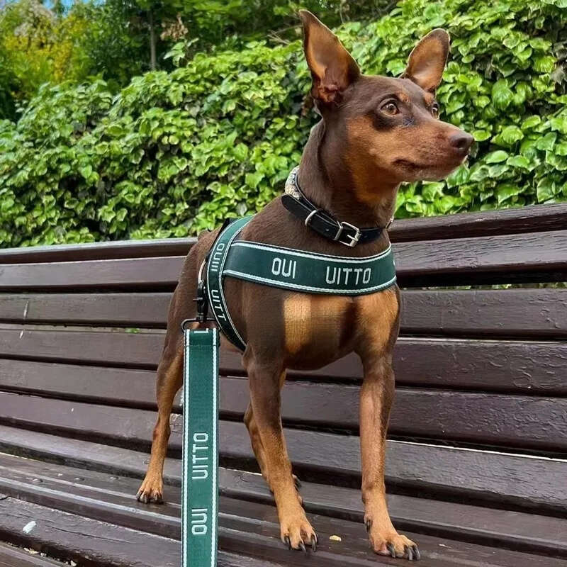 2025 new Designer Collars Leash Set No Pull Dog with Classic Jacquard Letter Escape Proof Nylon Pet Harness Easy Control for Outdoor Walking