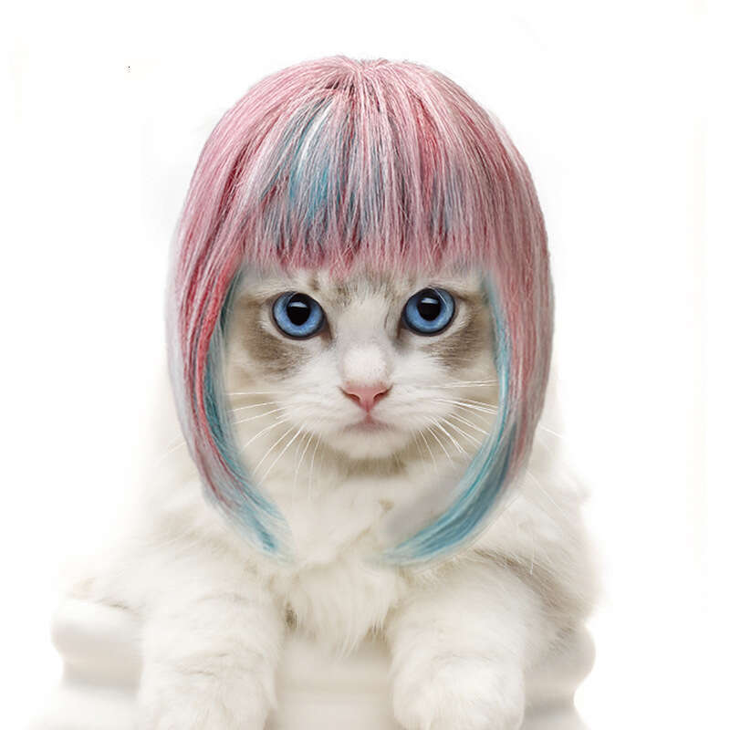 New Wig Pets Universal for Cats and Dogs Colorful Long Hair Party Costume Dreamy Style
