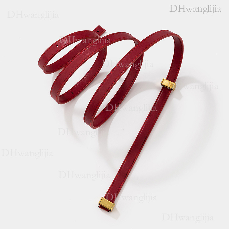 DH Luggage Accessories Fashionable Women's Replacement Shoulder Tofu Manhattan Bag Special Three-Level Adjustable Strap