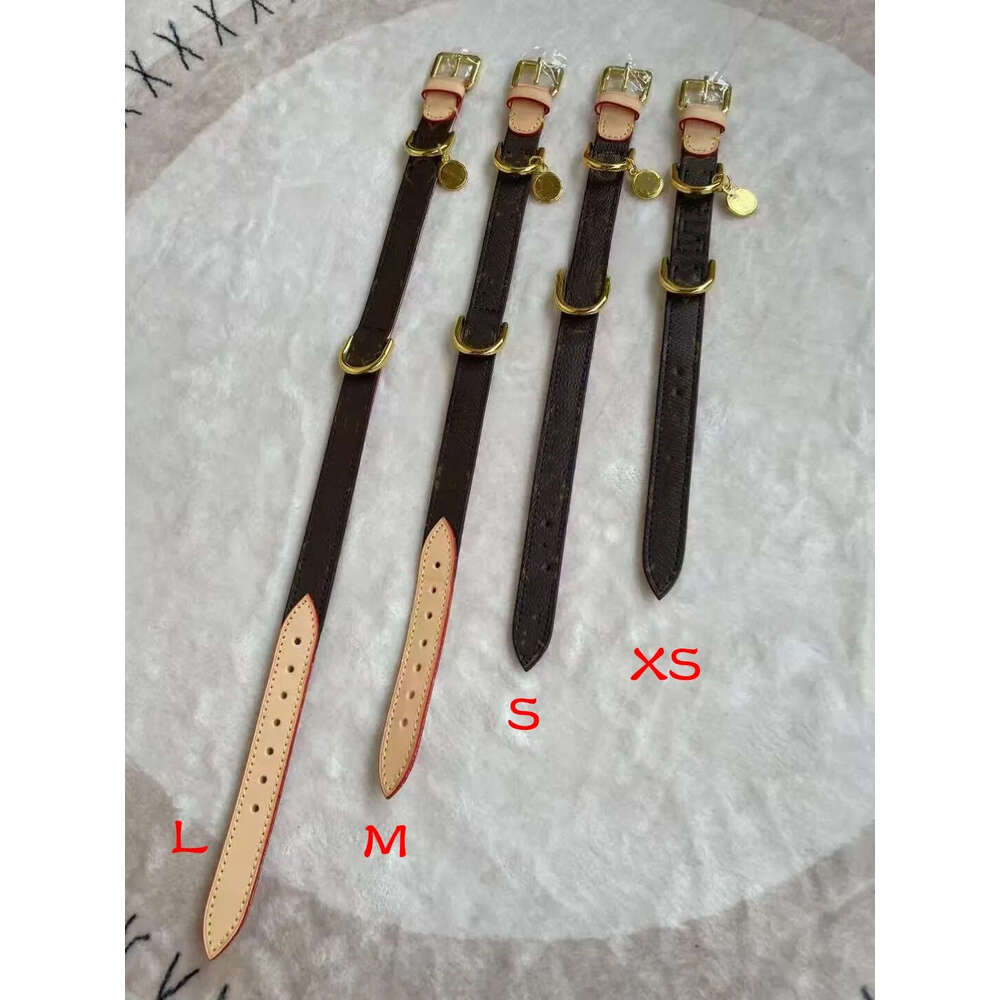 2025 new Designer with Exquisite Metal Buckle, Collars and Leash, High-Grade Dog Gift, Adjustable Pet Leather Collar for Small Medium Dogs,