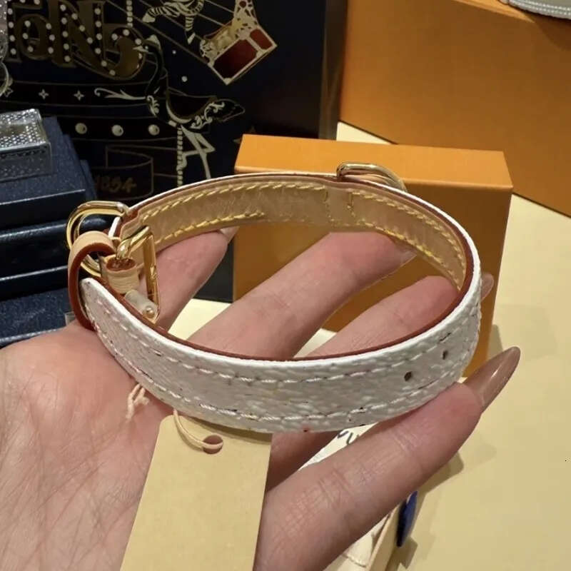 2025 new Designer with Exquisite Metal Buckle, Collars and Leash, High-Grade Dog Gift, Adjustable Pet Leather Collar for Small Medium Dogs,