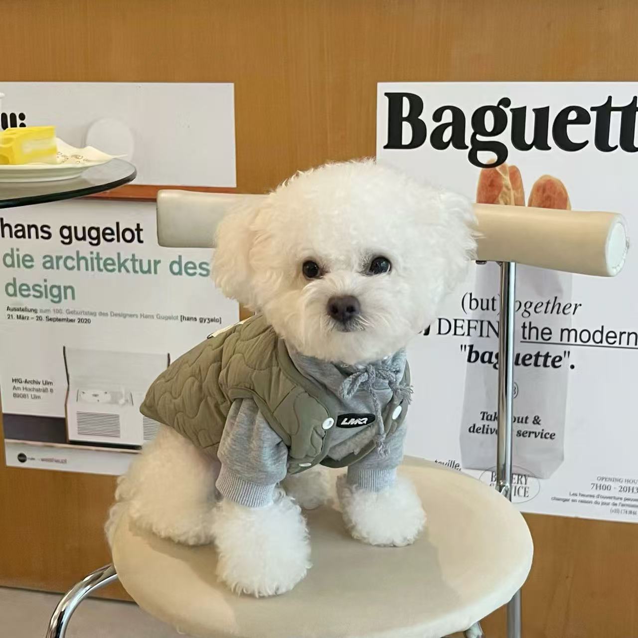 T1353 Dog Clothes Pet Fashion Brand Hooded Sweatshirt Handsome Small Dog Bichon Teddy Schnauzer Cat Spring Autumn Winter Clothes